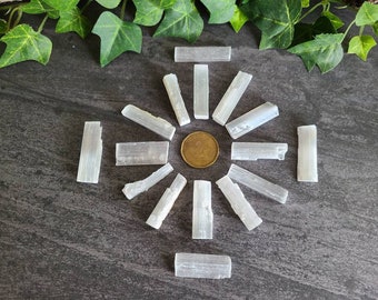 May include: Arrangement of white selenite crystal wands radiating from a gold coin on a dark gray surface. The crystals are translucent and rectangular, with visible striations. Green foliage frames the top of the image.