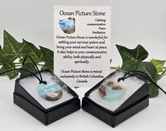May include: Two Ocean Picture Stone pendants, each in a black box, with a light blue and brown pattern. A card with text about the stone's properties is in the background. The pendants are on black cords.
