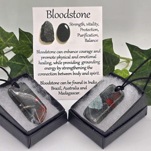 Bloodstone Pendant Necklace Adjustable Cord Metaphysical Jewelry image 1