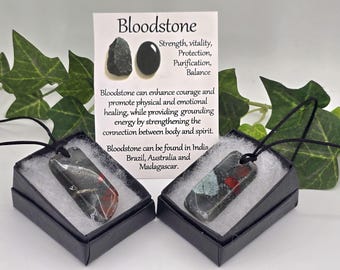Bloodstone Pendant Necklace Adjustable Cord Metaphysical Jewelry