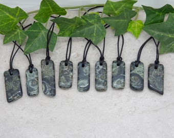 Kambaba Jasper pendant necklaces with cord of your choice.