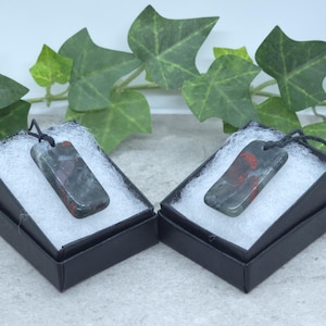 Bloodstone pendant necklaces with cord of your choice