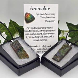 Canadian Ammolite pendant necklaces with adjustable cord