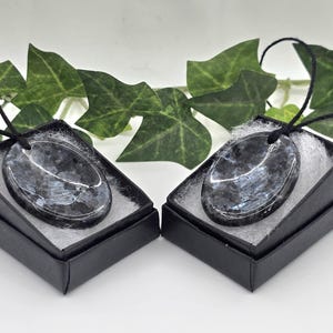 May include: Two oval, dark grey pendants with black cords, displayed in small black boxes with white filler. The pendants have a marbled appearance with silver and blue tones. Green leaves are in the background.