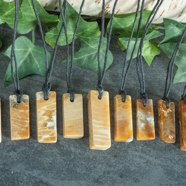 Fossilized Coral pendants polished necklace with cord of your choice