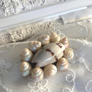 Könnte beinhalten: Eine Ansammlung kleiner, schillernder Muscheln, die eine größere, gesprenkelte Muschel umgeben. Die Muscheln liegen auf einer weißen Spitzendecke, im Hintergrund sind ein Stapel weißer Bücher und ein Band zu sehen. Das Bild hat ein zartes, maritimes Thema.
