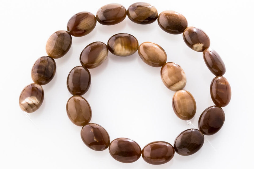 化石木 15 x 20 mm 楕円形 (ネバダ州) NWFa - Etsy 日本