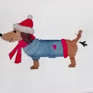 May include: A brown and tan dachshund wearing a blue and red sweater with a heart on the front, a red scarf, and a red and white Santa hat. The dog is holding a small red and green twig in its mouth.