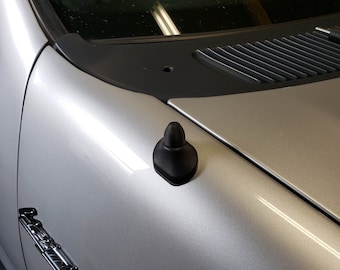 May include: A silver car with a black antenna on the driver's side fender. The car has a silver "Mustang" emblem on the side.