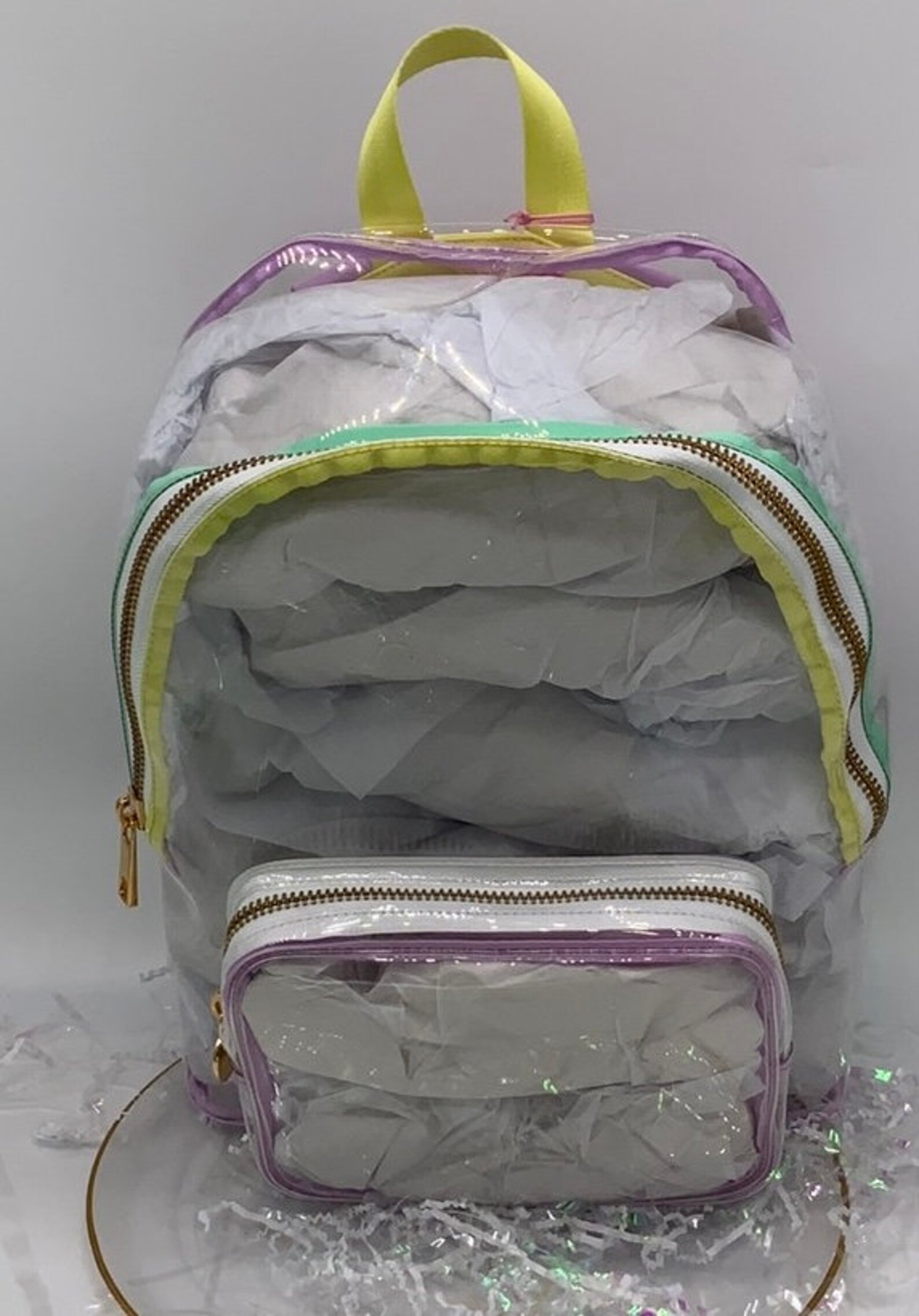 Stoney Clover Clear Backpack