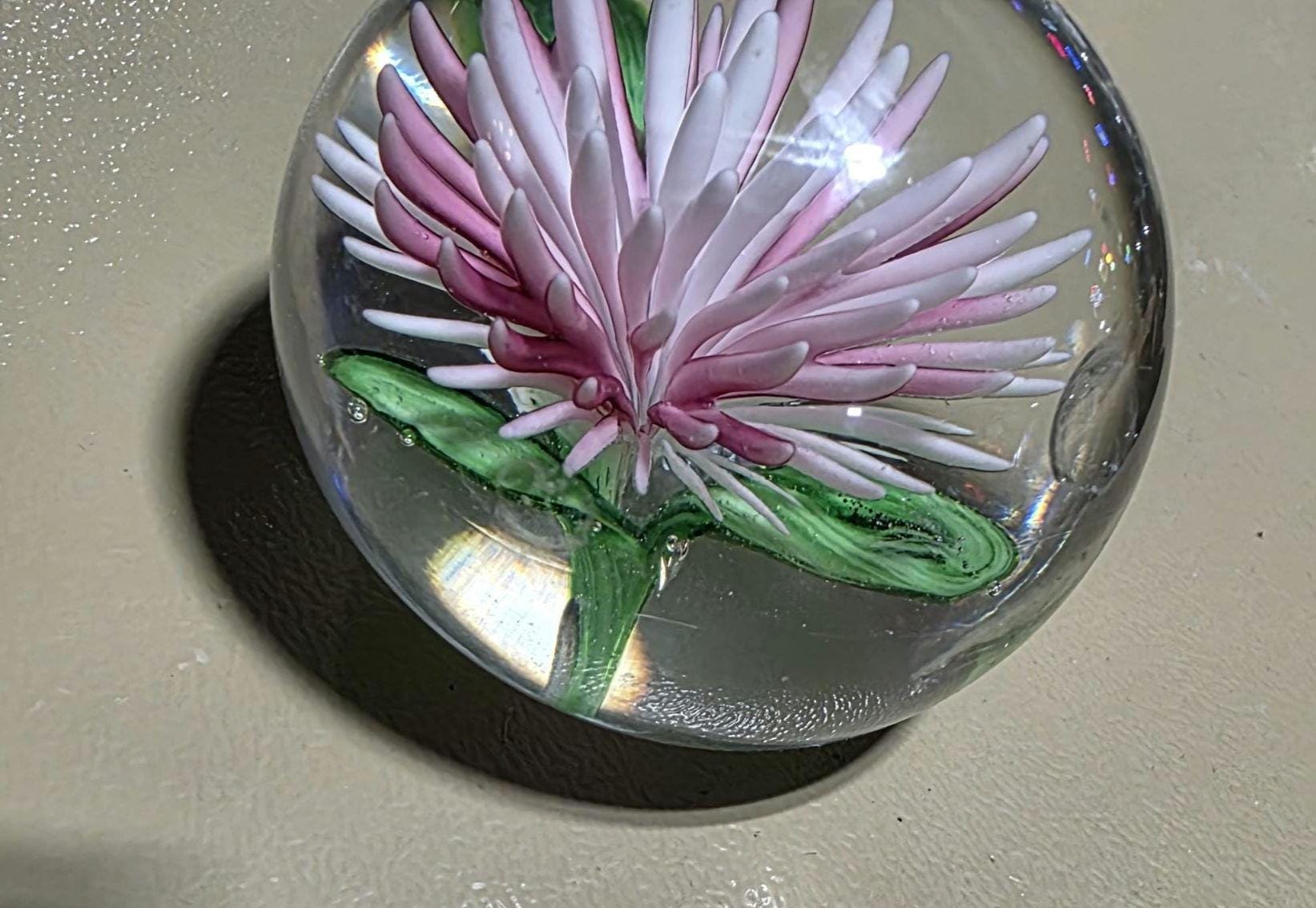ヴィンテージの小さなピンクの菊のペーパーウェイト 直径2インチ