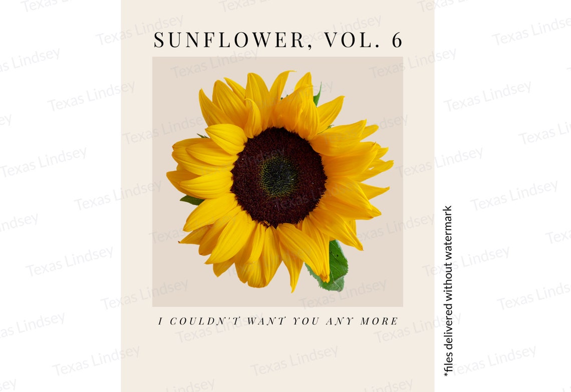 Harry Styles Sunflower Vol. 6 Lyrics Sunflower Imagery Print Etsy