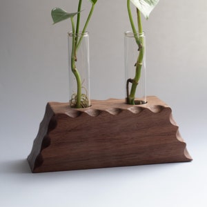 Vermehrungsstation aus massivem Nussbaum Holz | Blumentopf aus Holz | Geschenk für Pflanzenliebhaber | Blumenständer für drinnen