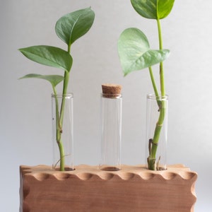 Solide Kirschbaum Vermehrungsstation Dreifach | Blumentopf aus Holz | Geschenk für Pflanzenliebhaber | Übertopf Blumentopf | SEKUNDEN