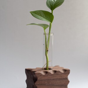 Vermehrungsstation aus massivem Nussbaum Einzel | Blumentopf aus Holz | Geschenk für Pflanzenliebhaber | Übertopf Blumentopf | SEKUNDEN