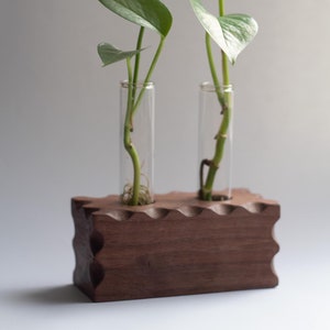 Vermehrungsstation aus massivem Nussbaum Holz | Blumentopf aus Holz | Geschenk für Pflanzenliebhaber | Blumenständer für drinnen