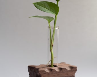 Solid Walnut Plant Propagation Station Single | Wooden Planter | Plant Lover Gift | Indoor Plant Stand | SECONDS