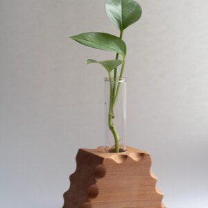 Solide Kirschbaum Vermehrungsstation Single | Blumentopf aus Holz | Geschenk für Pflanzenliebhaber | Übertopf Blumentopf | SEKUNDEN