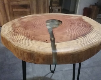 Side Table Coffee Table Mammtbaum Epoxy Resin Tree Disc