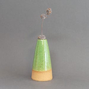 May include: A handmade ceramic vase with a conical shape. The top half is a speckled green, and the bottom half is a natural tan color. A dried flower stem with two small, textured seed heads is inserted in the vase.