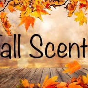 1-lb Fall Scented Aroma beads, Aroma Bead Air Fresheners, Car Air Freshen, Sachet Bags, Wholesale