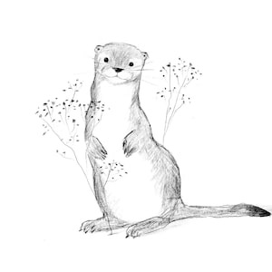 Illustration de loutre avec des fleurs, idées de cadeau, dessin noir et blanc, feuille de nature, art de crayon, animal de fleuve