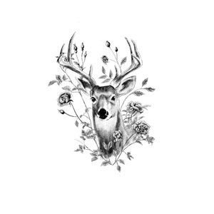 フローレスのイラスト、レガーロのアイデア、ブランコと黒人のディブージョ、動物のプリント、ボスク ロサス