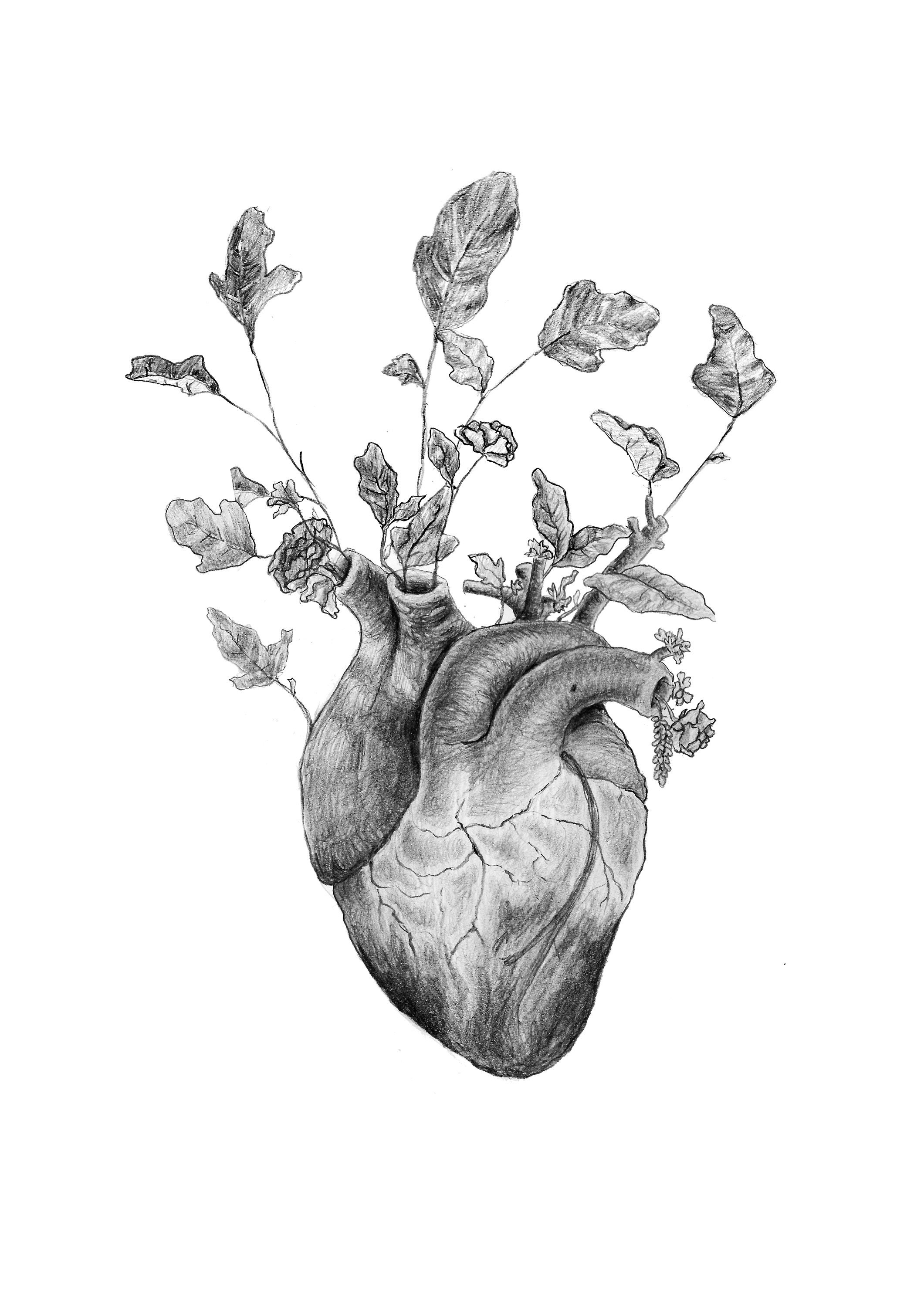 El mal dentro del dibujo boceto del arte, el mal dentro., lápiz, corazón  png | PNGEgg, image size:2121x3000