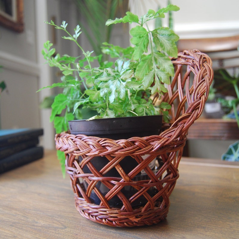 Brown Woven Wall Basket hanging Wall Basket air Plant Holder Etsy