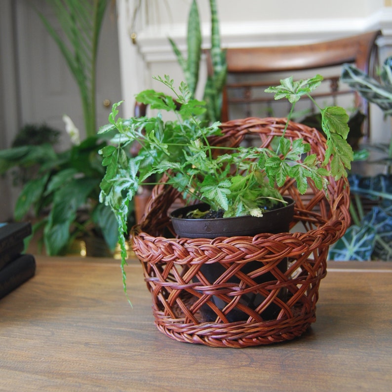 Brown Woven Wall Basket hanging Wall Basket air Plant Holder Etsy
