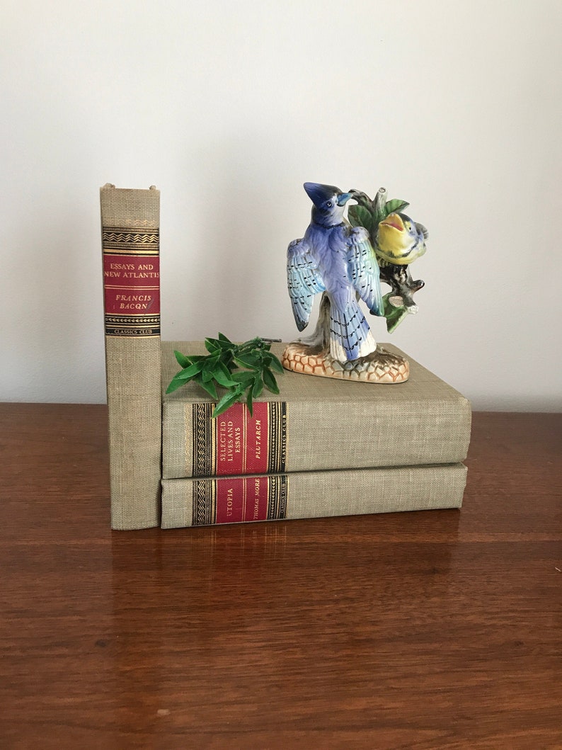 Mid Century Modern Decor Vintage Japanese Porcelain Blue Bird Figurine Momma Baby Bird Otagiri Birds Pretty Retro Bookshelf Decor Collectibles Art Collectibles Efp Osteology Org Mid Century Modern Decor Vintage Japanese Porcelain Blue Bird Figurine Momma Baby Bird Otagiri Birds Pretty Retro Bookshelf Decor Collectibles Art Collectibles Efp Osteology Org