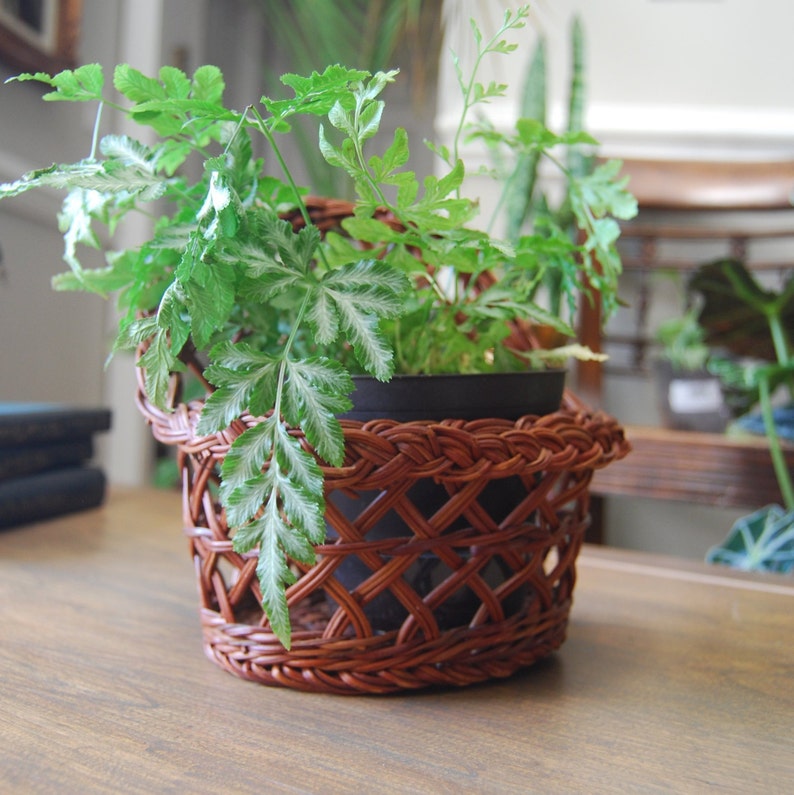 Brown Woven Wall Basket Hanging Wall Basket Air Plant Holder Etsy