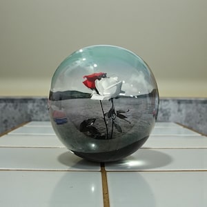Peut inclure: Une sphère de verre transparente avec une rose rouge et blanche à l'intérieur. La sphère reflète un paysage avec de l'eau et un ciel nuageux. La base de la sphère est sombre et repose sur une surface carrelée blanche.