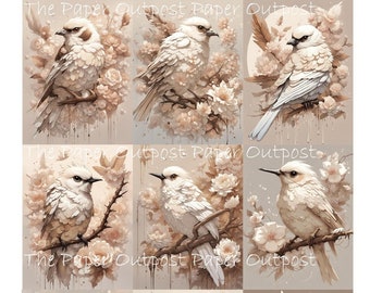 BIRD NEUTRAL Digikit digital printable image vintage birds little bird white beige illustration ThePaperOutpost paper outpost shop pam