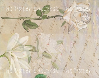 Vanilla Rose Digital Paper: Printable Signature Pages (Digikit)
