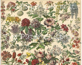 Vintage Blomtryck: Botanisk Ephemera Digikit (Digital Utskrivbar)