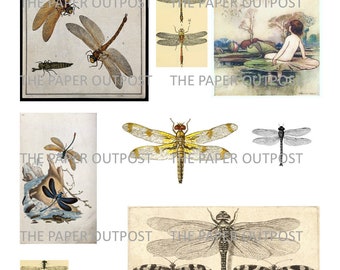 Dragonfly Digital Printable Kit Vintage Dragon Fly Digital Kit Junk Journal Ephemera  Vintage Dragonfly Pictures Dragonfly Images