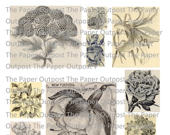 Black and White Flowers Tonal digital printable kit digital kit digi kit digikit florals floral botanical pictures images paper outpost