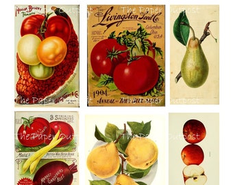 Vintage Food Botanical Prints: Fruits & Vegetables Digikit (Digital Download)