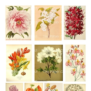 Precious Flowers Digikit Digital Kit Digital Printable Digital Digi Kit ...