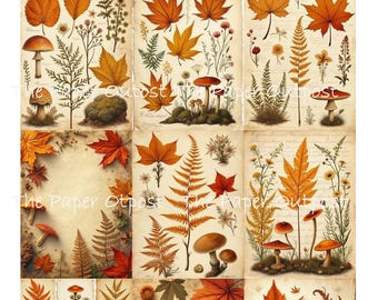 Orange Fall Leaves Digikit digital printable digital fall leaf, autumn leaf season, gold leaves,  ThePaperOutpost paper outpost shop pam