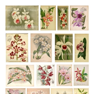ORCHID AURA vintage Digikit Digital Printable Digikits Digikit téléchargement imprimable orchidées fleur fleurs The Paper Outpost ThePaperOutpost