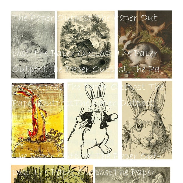 Bunnies From Yesteryear vintage digital printable rabbit digikit digital kit printable digi kit ThePaperOutpost sketches the paper outpost