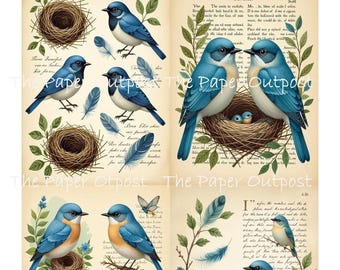 BLUE SONGBIRD Digikit digital printable digital blue birds, blue song bird, songbirds, feathers nests ThePaperOutpost paper outpost shop pam