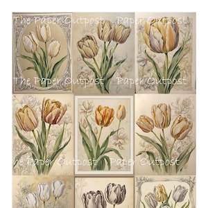 TULPEN-SCHÄTZE Digikit Digikit digital bedruckbar digital vintage hübsche Tulpen Blumen botanisch ThePaperOutpost paper outpost shop pam