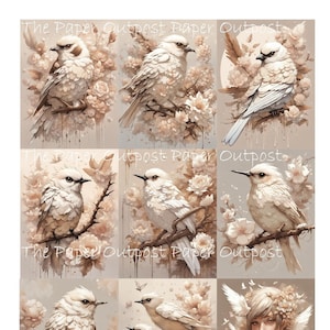 BIRD NEUTRAL Digikit digital druckbares Bild vintage Vögel kleiner Vogel weiß beige Illustration ThePaperOutpost paper outpost shop pam