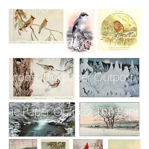 Kit digital de vida salvaje invernal Imprimibles digitales Imprimibles Kits digitales Kit digital Pájaros Animales Escenas invernales Pájaro The Paper Outpost ThePaperOutpost