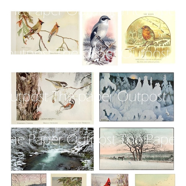 Wintery Wildlife Digikit Digital Printable Printables Digikits Digi kit Birds Animals Winter scenes Bird The Paper Outpost ThePaperOutpost