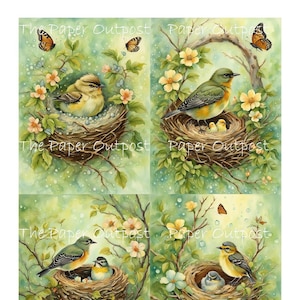 Afdrukbare afbeelding BABYVOGELS in NEST Digikit, babyvogel, vogeleieren, vogelnest, vogeltjes, zangvogels, ThePaperOutpost papieren buitenpost winkel pam