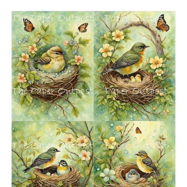 BABY BIRDS in NEST Digikit Printable Image, baby bird, bird eggs, bird nest, birdies, song birds,  ThePaperOutpost paper outpost shop pam